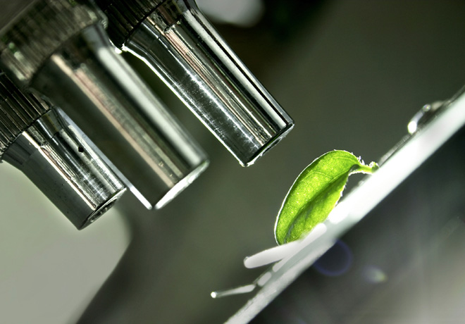 Ford logra en Europa eliminar completamente el envio de residuos a los vertederos 1