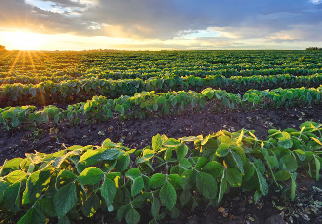 Ford logra en Europa eliminar completamente el envio de residuos a los vertederos 2