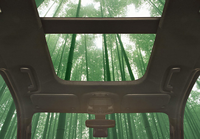 Ford investiga la utilizacion del bambu para fabricar componentes de vehiculos