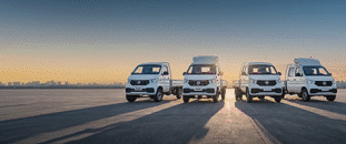 Visita la web oficial de Dongfeng Argentina